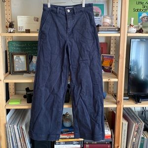 Everlane Wide Leg Crop Pants